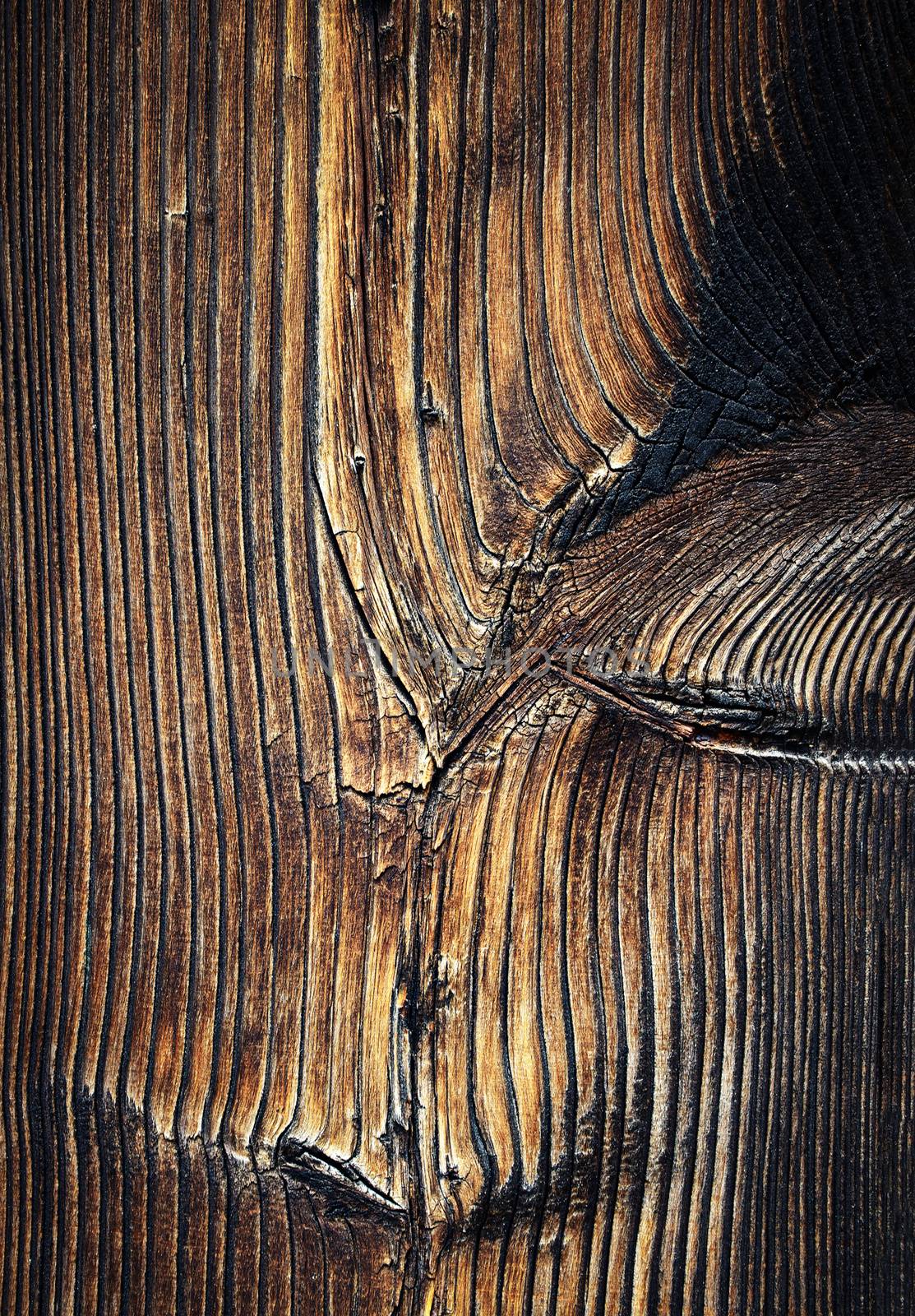 detail of an old brown wooden board by Ahojdoma