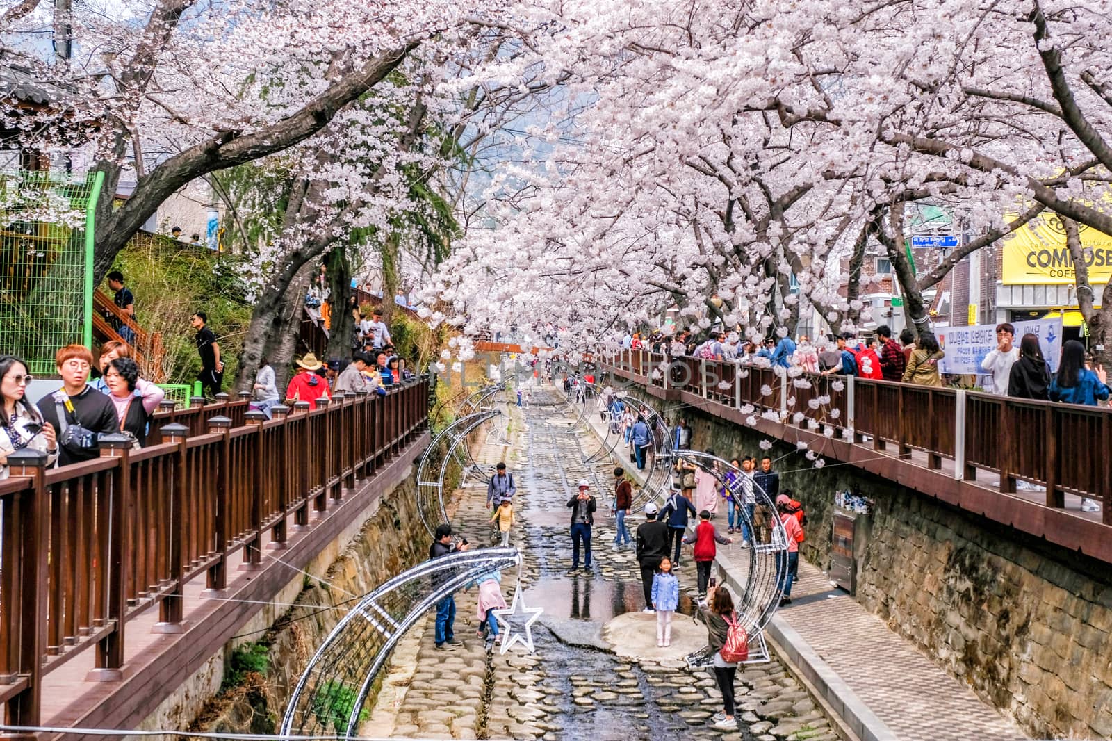 1 APRIL 2018 : Many tourist came to Jinhae, South Korea, to see beautiful blooming Cherry Blossom during Jinhae Gunhangje Festival which was held from 1 to 10 April 2018