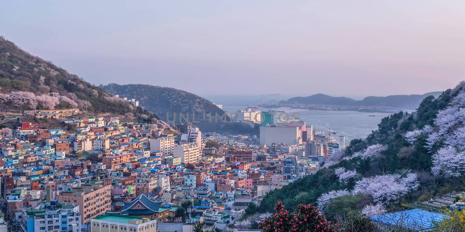 View of Gamcheon Culture Village, Busan, South Korea.