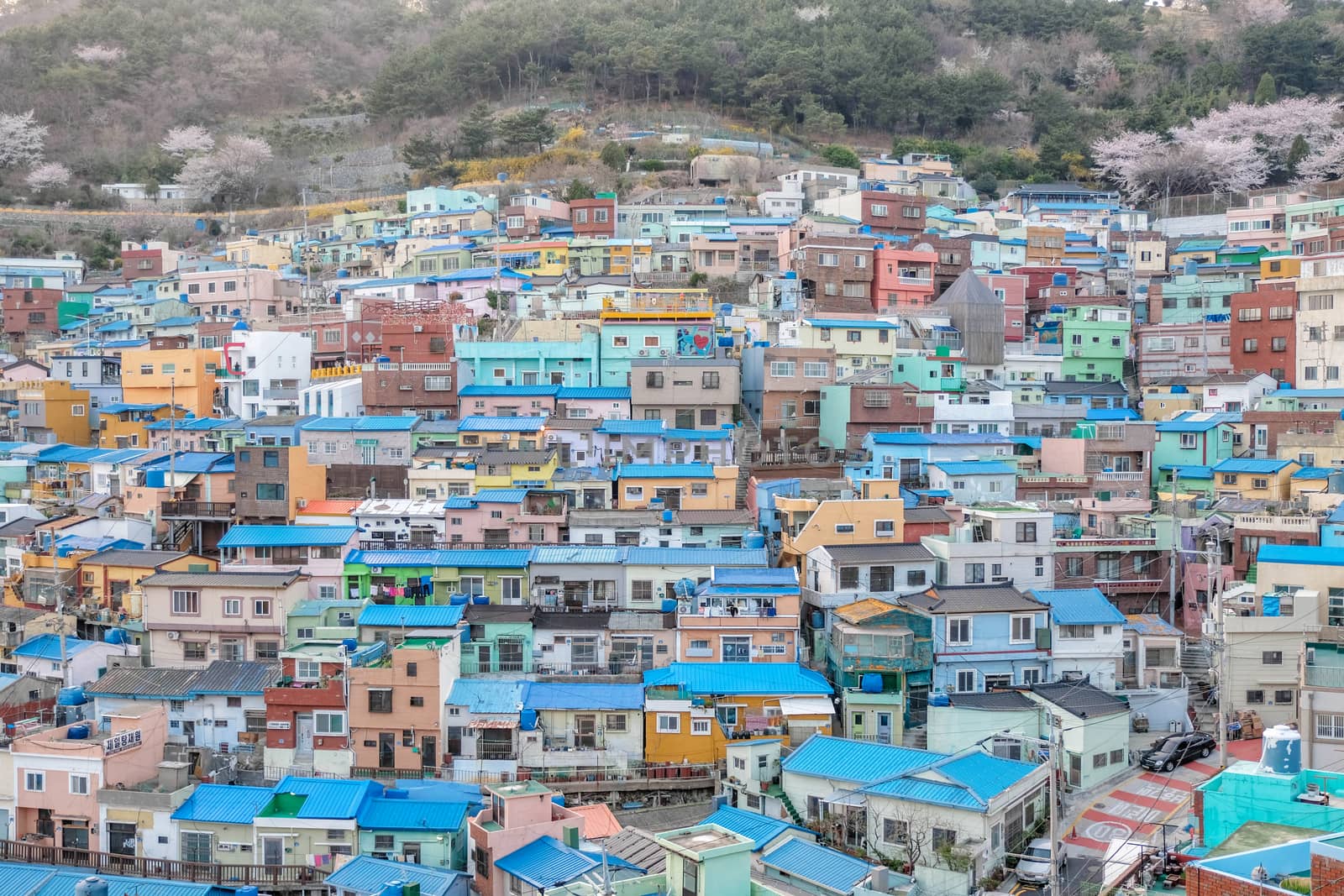 View of Gamcheon Culture Village, Busan, South Korea. by Surasak