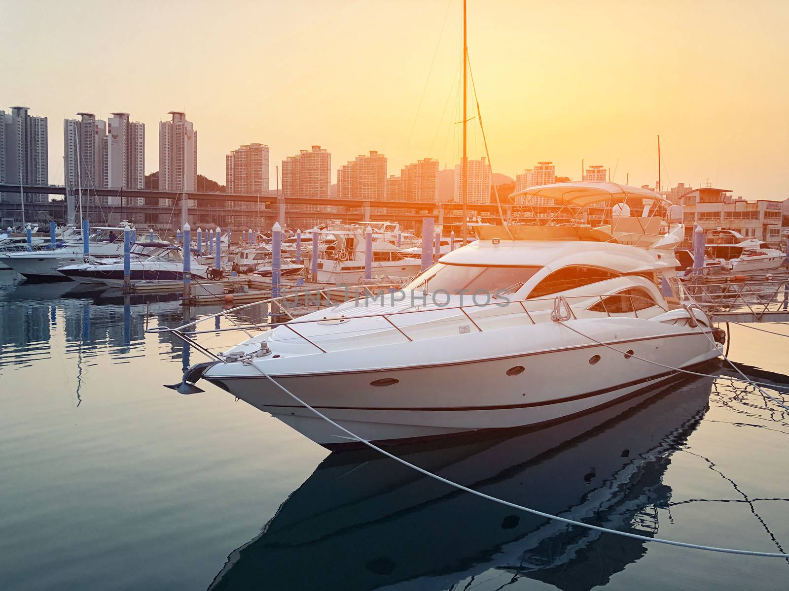 Luxury yachts docked in sea port at sunset in Seoul, Korea by Surasak