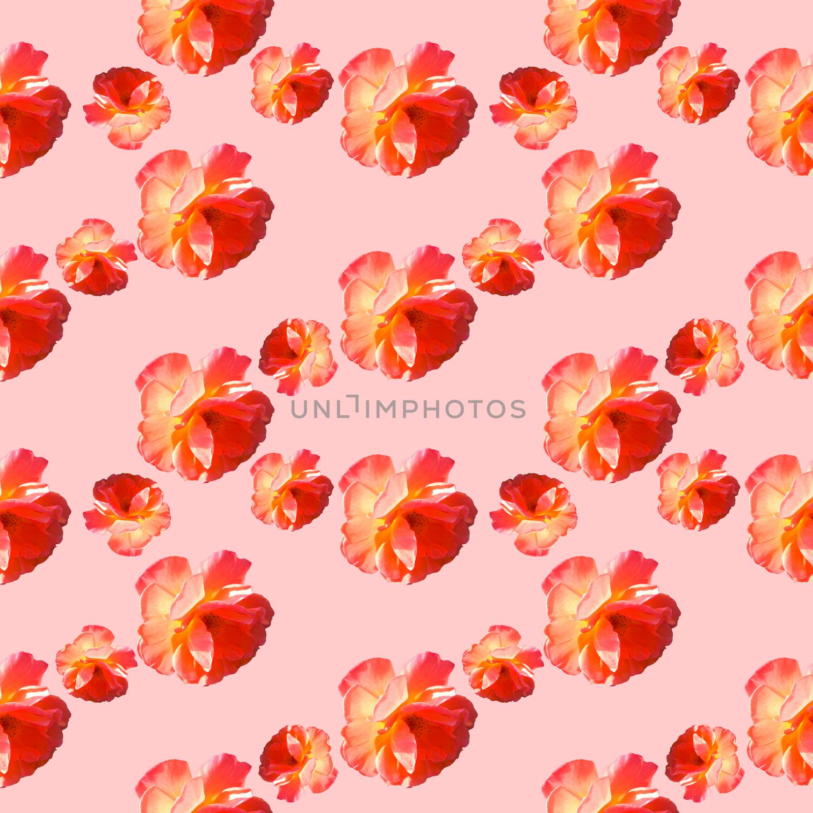 Seamless pattern with roses on a pink background. Flat lay, top view. Pop art creative design for textile, fashion, wallpaper, fabric, wrapping paper.