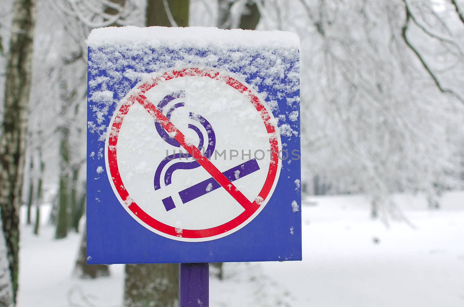 No smoking metal sign pole in the winter park. Don't smoke sign. by KajaNi