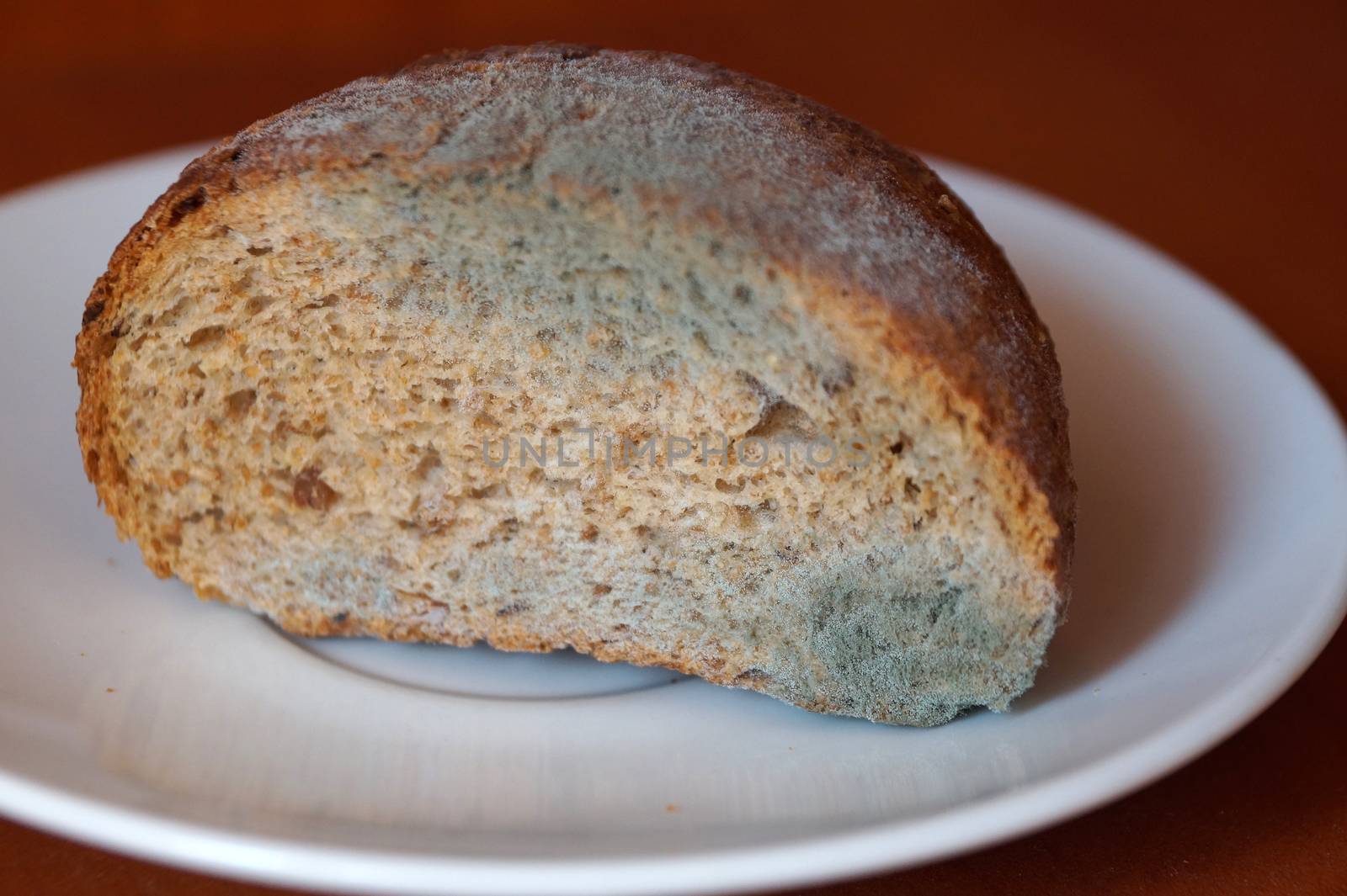 moldy wheat bread on a white plate close up