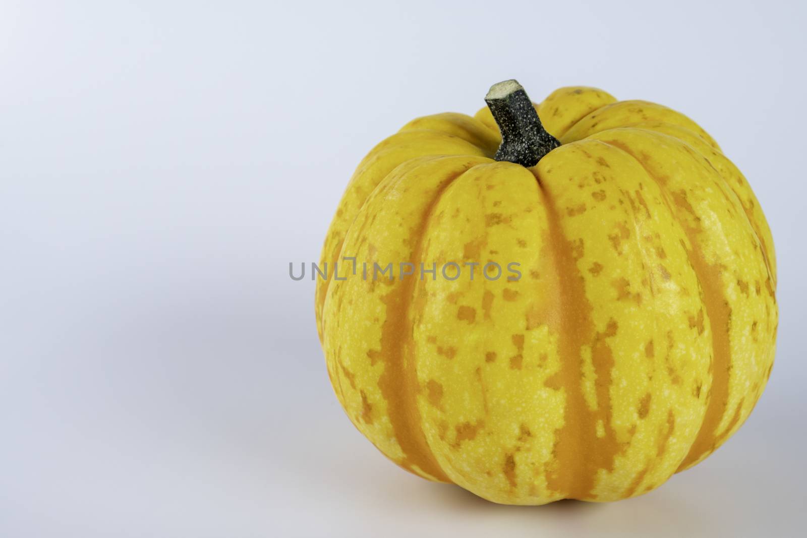 Yellow colored pumpkins on a white background.