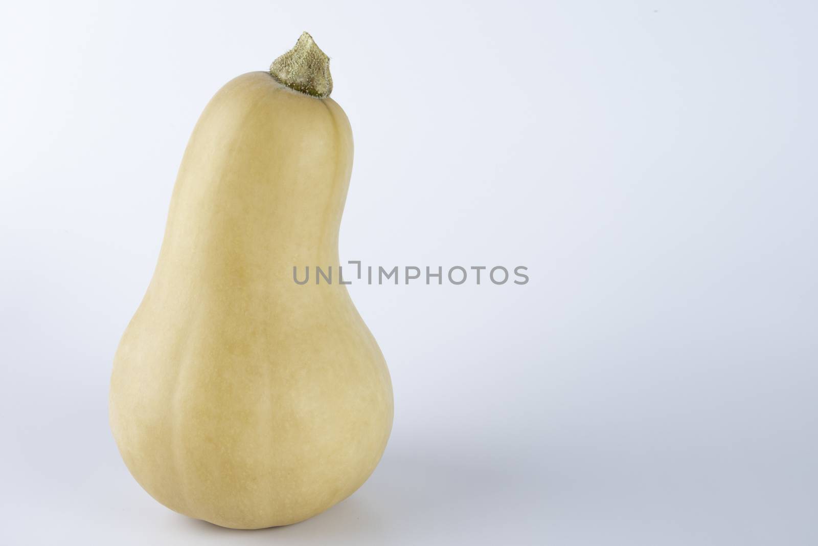 Yellow colored pumpkins on a white background by 25ehaag6