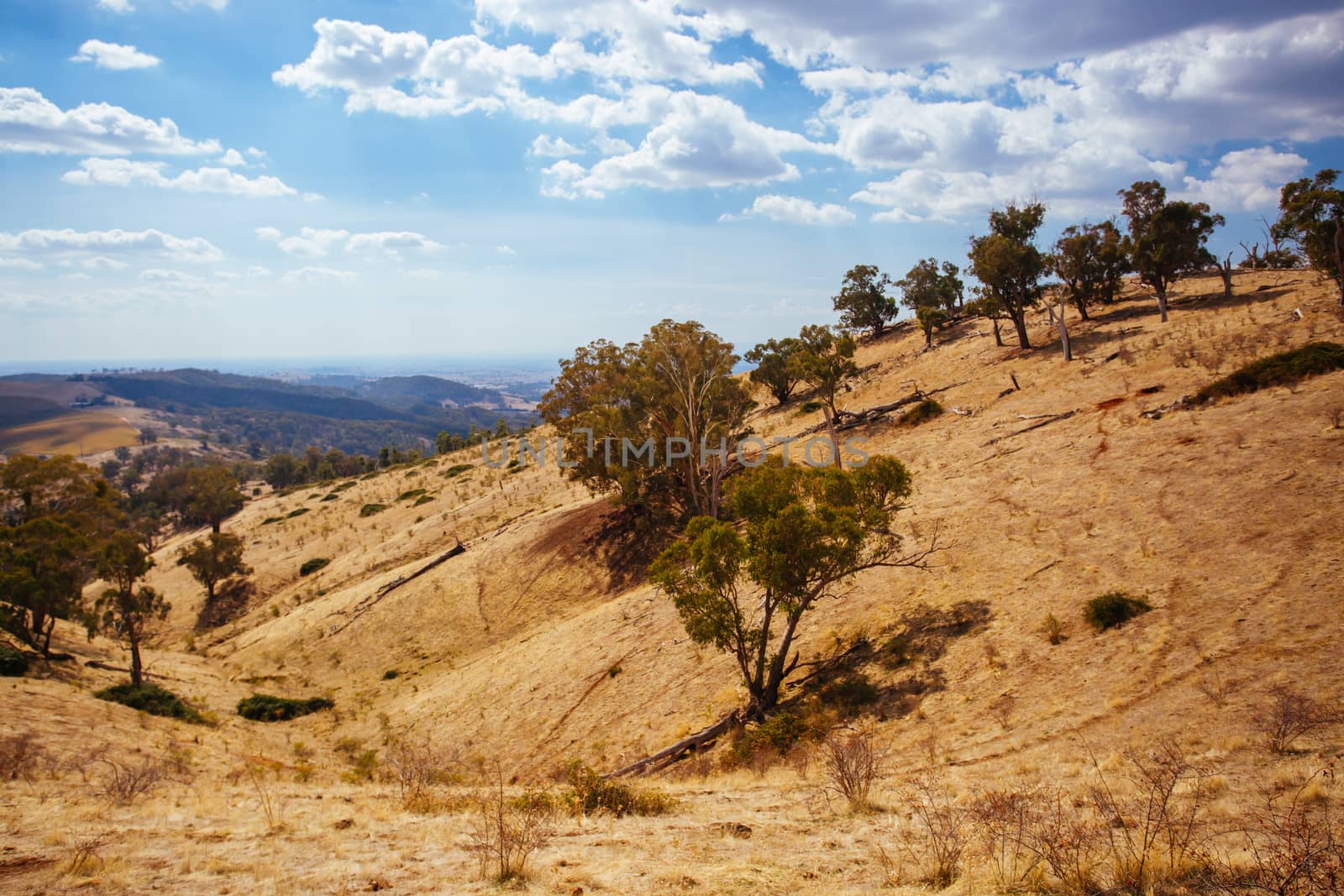 King Valley landscape in the late afternoon in Myrrhee in the King Valley, Victoria, Australia