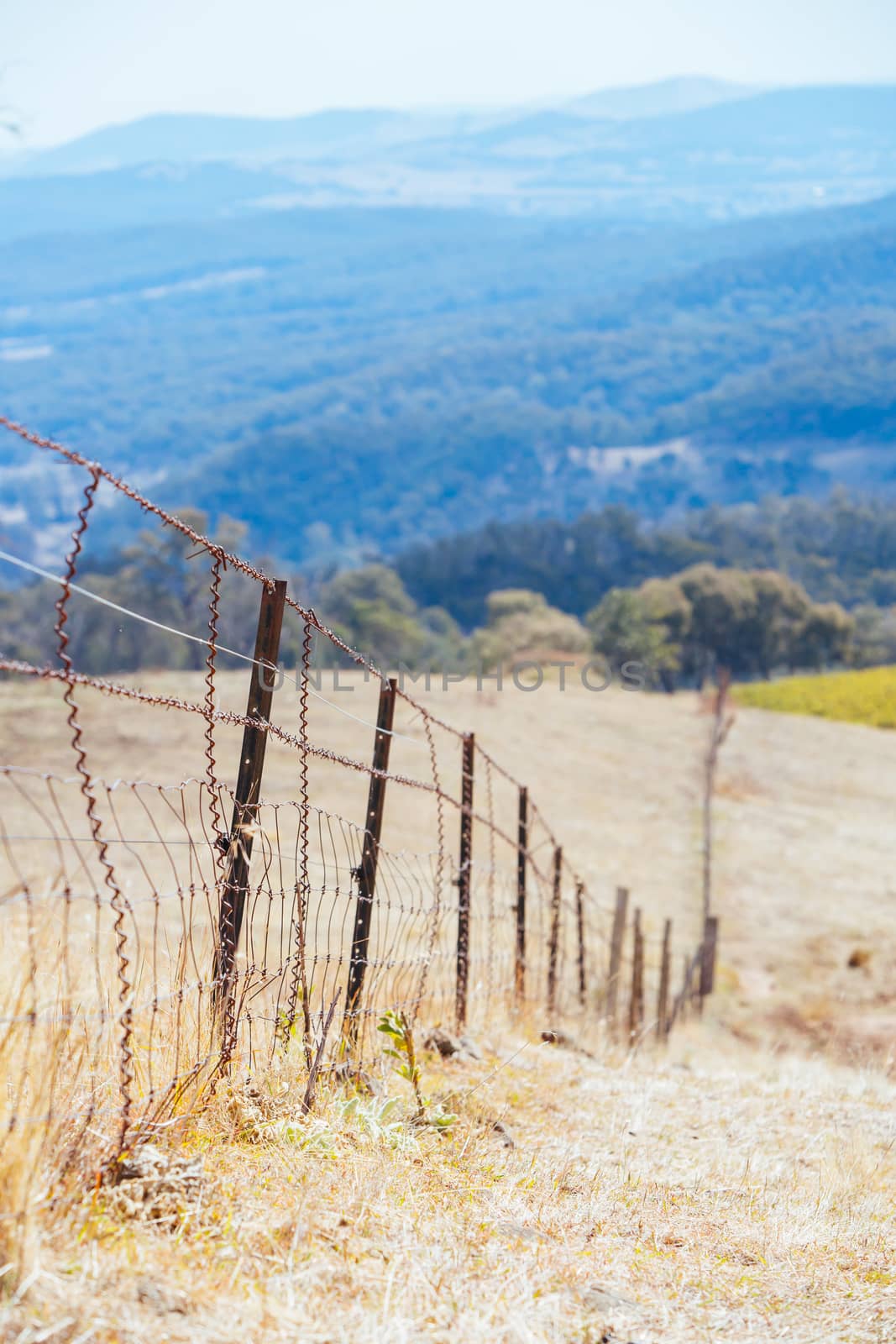 King Valley Landscape in Australia by FiledIMAGE