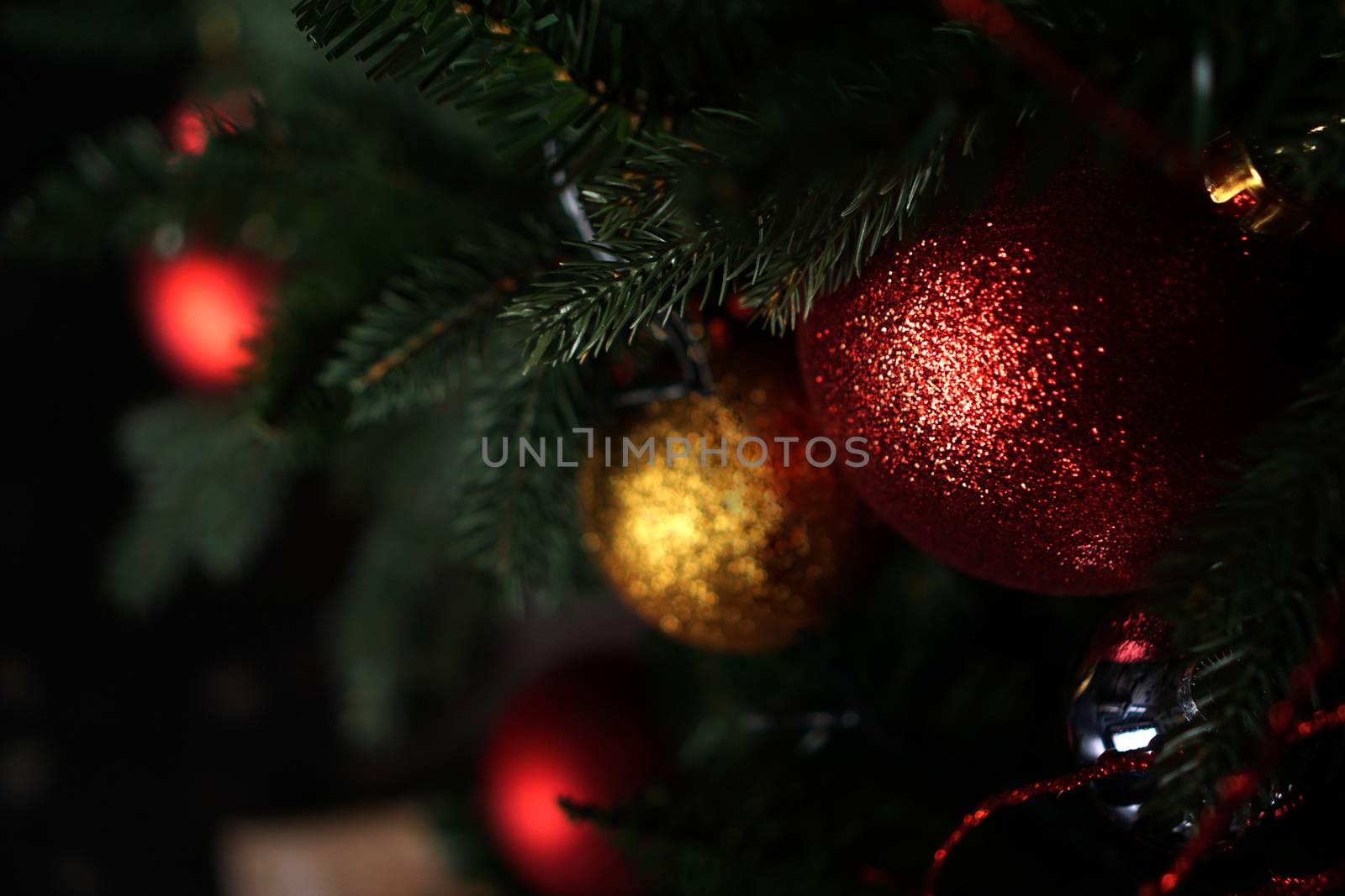 Shiny Christmas red ball hanging on pine branches with festive dark background