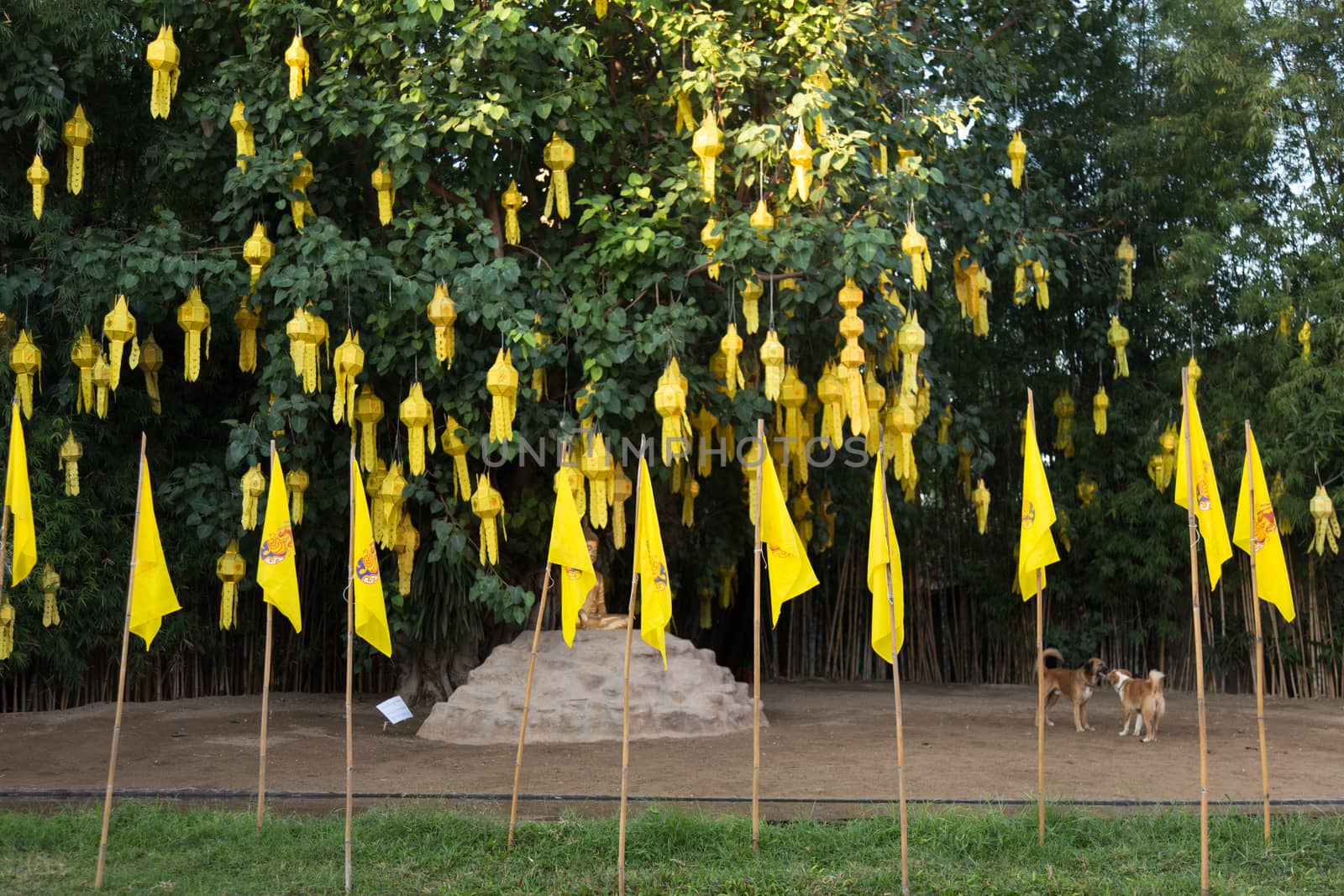 Wat Phan Tao, Chiang Mai Thailand 12.11.2015 famous teak temple with yellow lanterns. High quality photo