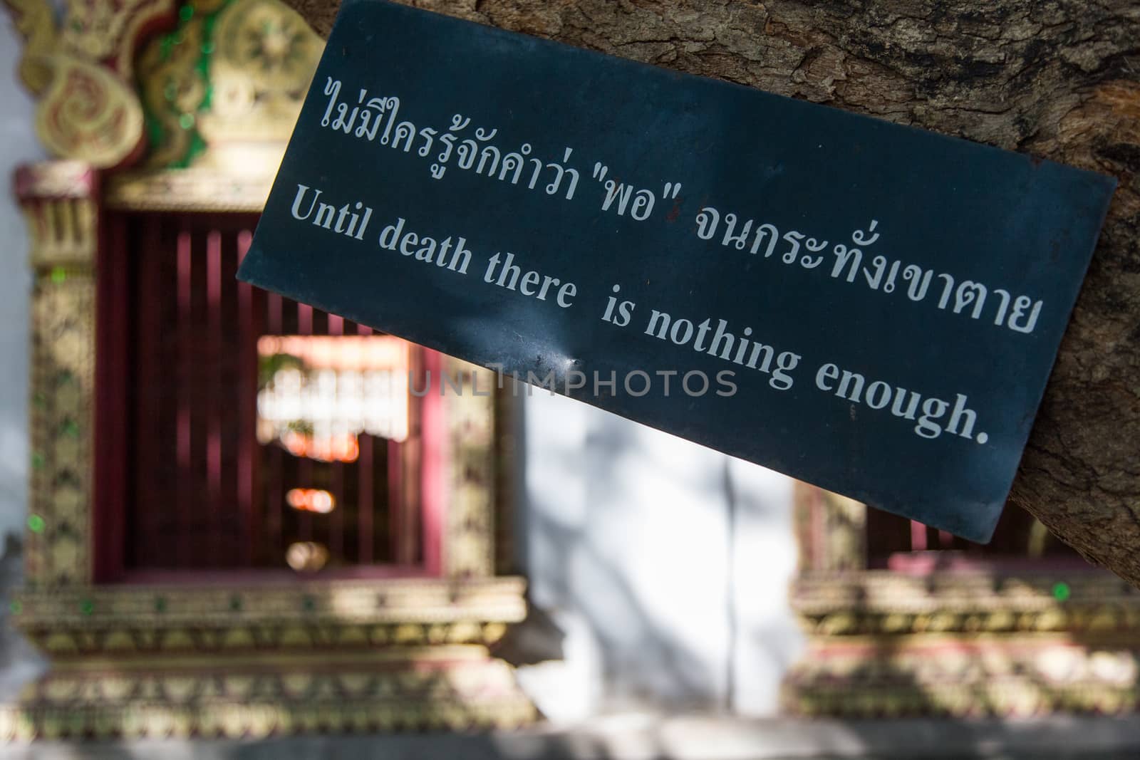 Until Death There Is Nothing saying by Buddha on sign temple garden Chiang Mai. High quality photo