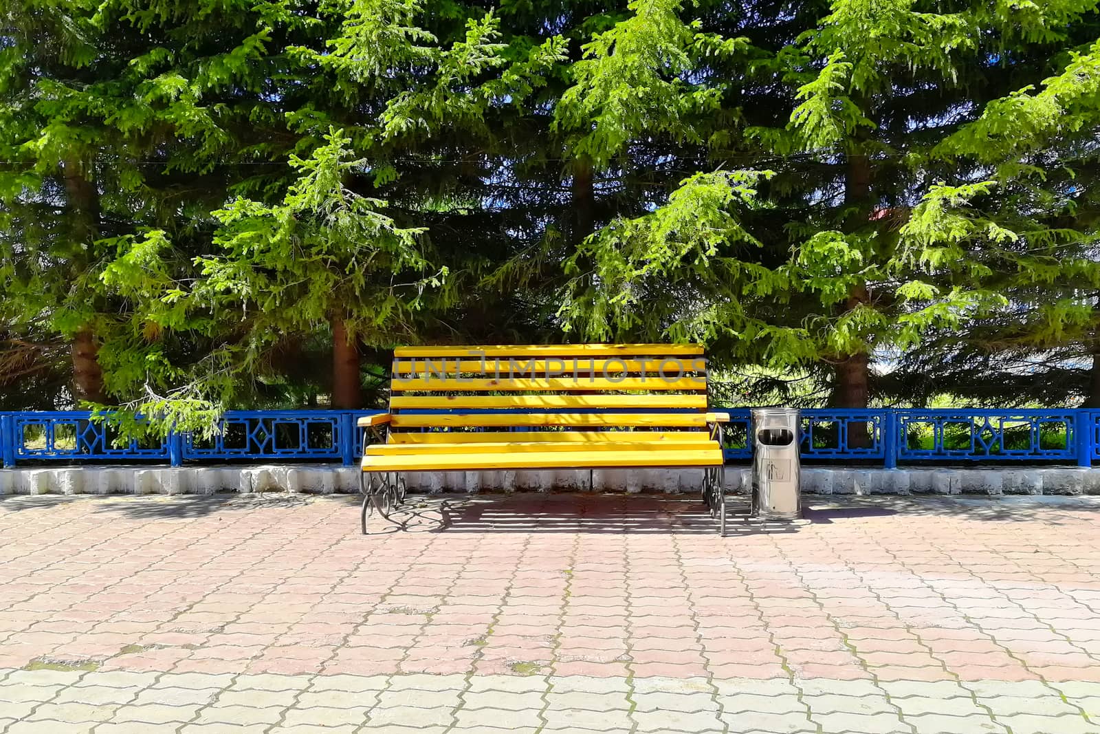 In the park on a bright sunny day. View from the front. There are pine trees at the back.