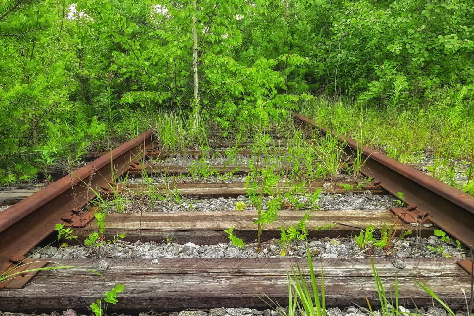 Vintage railroad route and old rails