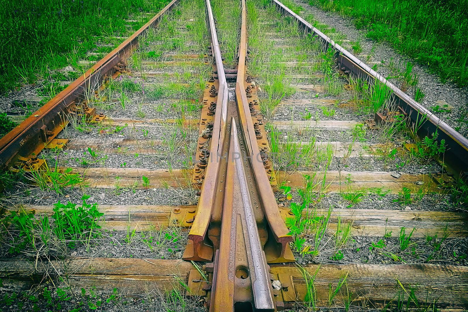 Fork of the railway. Siberia