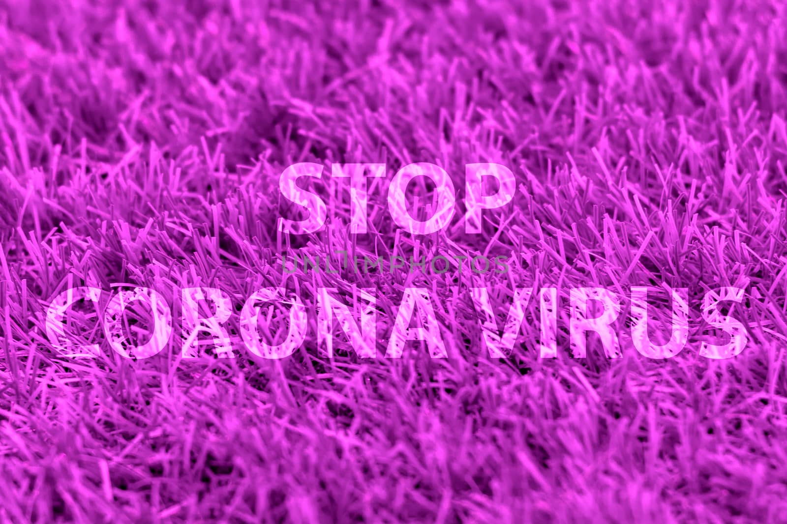 Stop corona virus against backdrop of green grass. Words.
