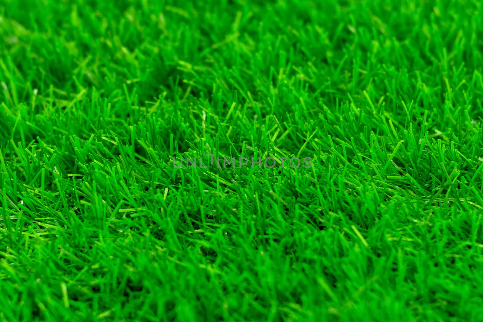 Green grass. Textural background and Blured