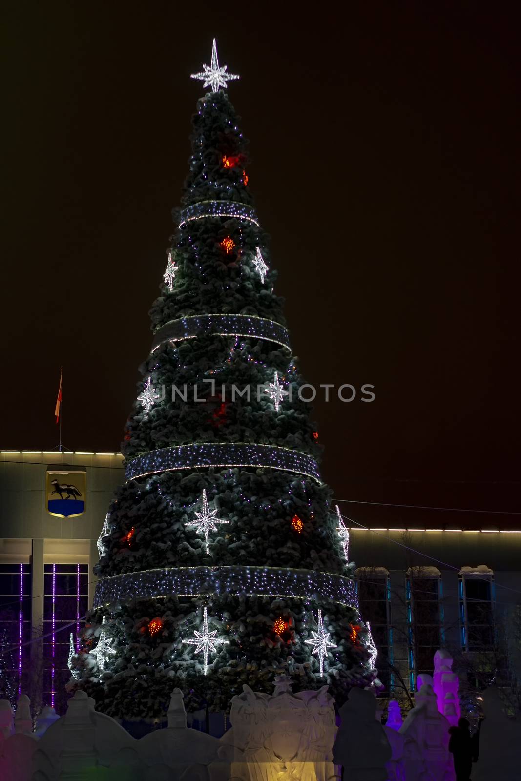 Christmas tree in winter. Cristmas holiday.