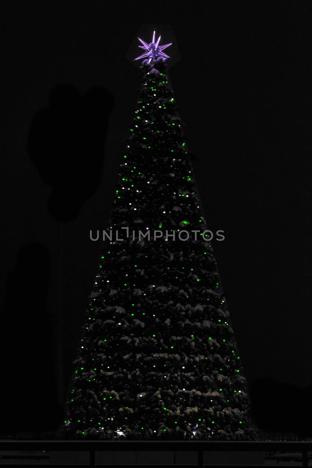 Christmas tree in winter. Cristmas holiday.