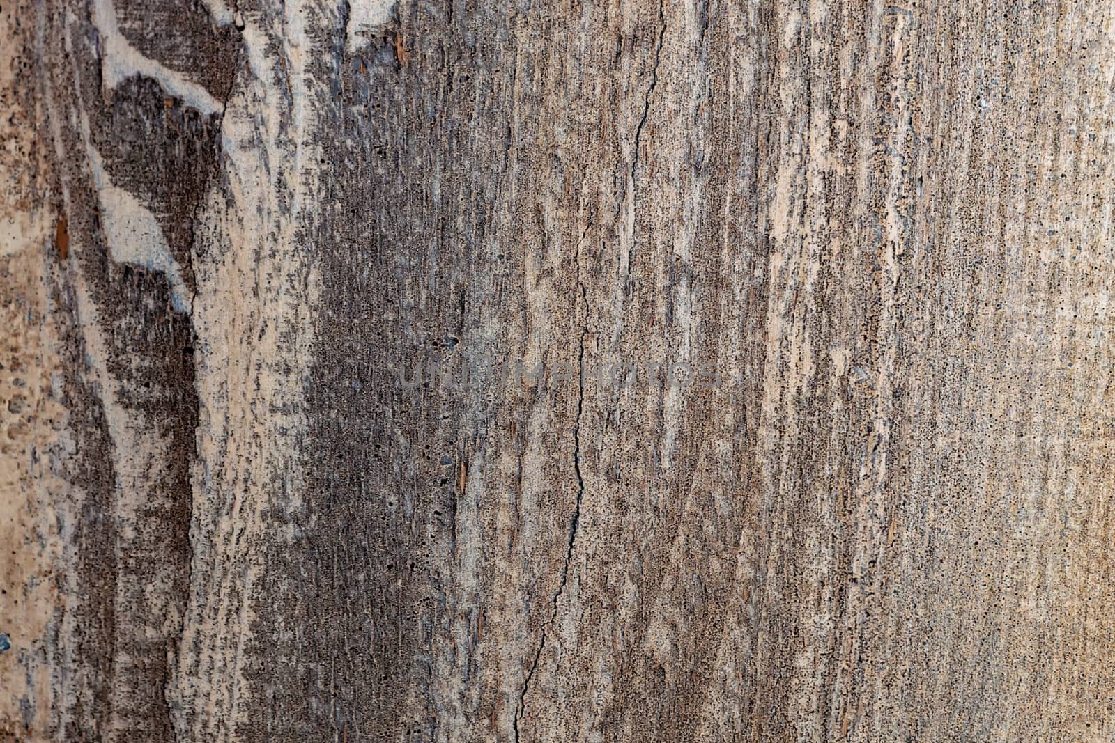 Fragment Wooden background. View from above.