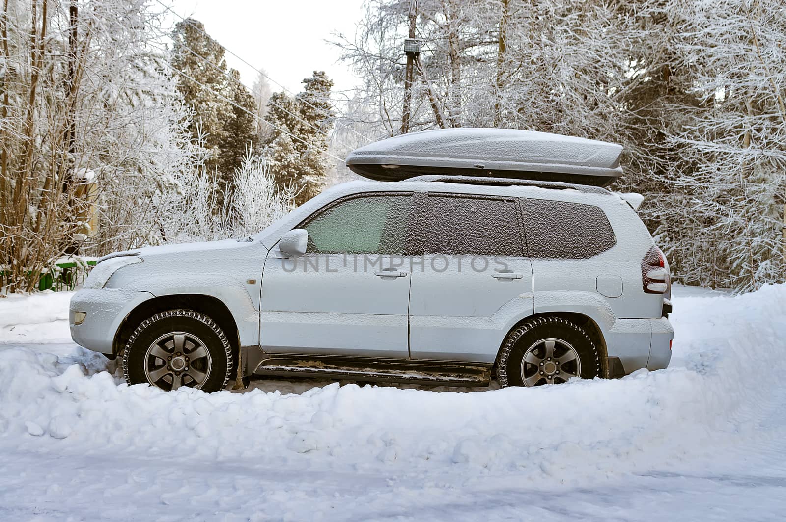 Auto with a coffer on the roof in winter in the woods