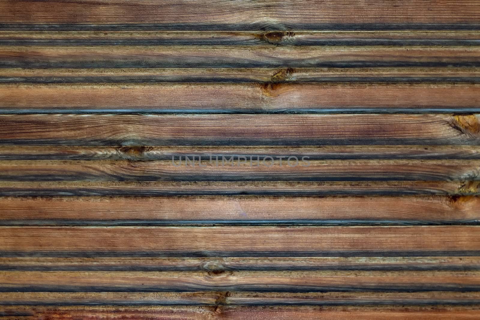 Dark wooden textured background. View from the front