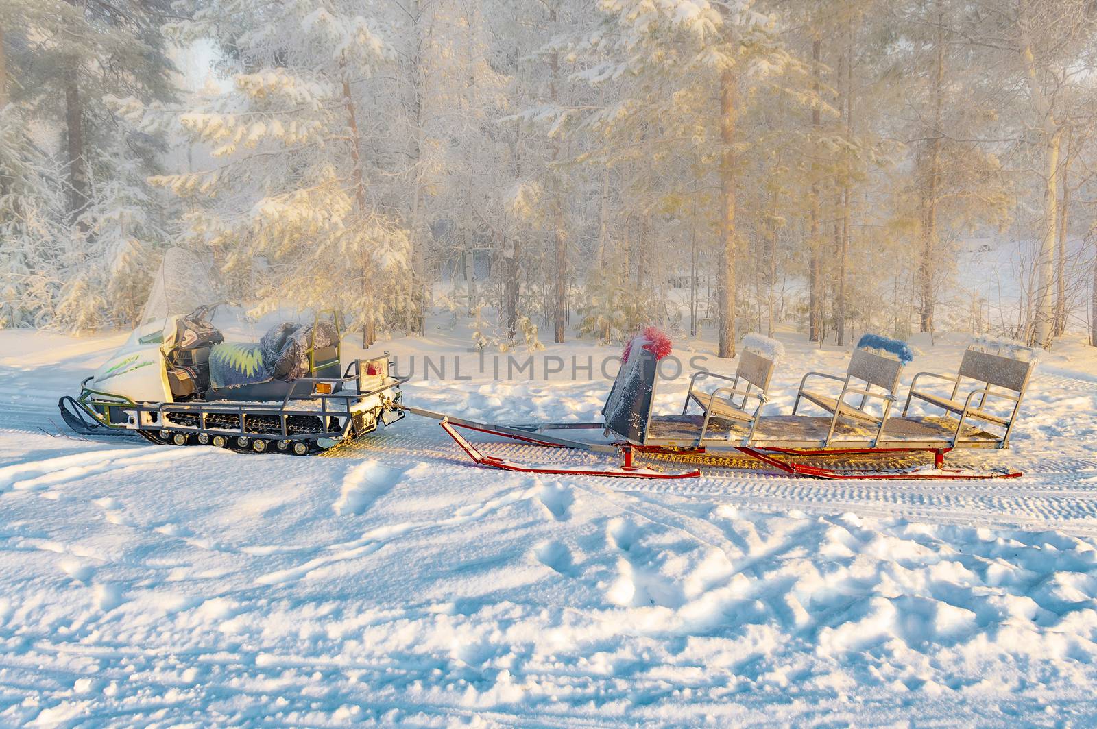 Snowmobile with sleigh in the winter forest. View from the side.
