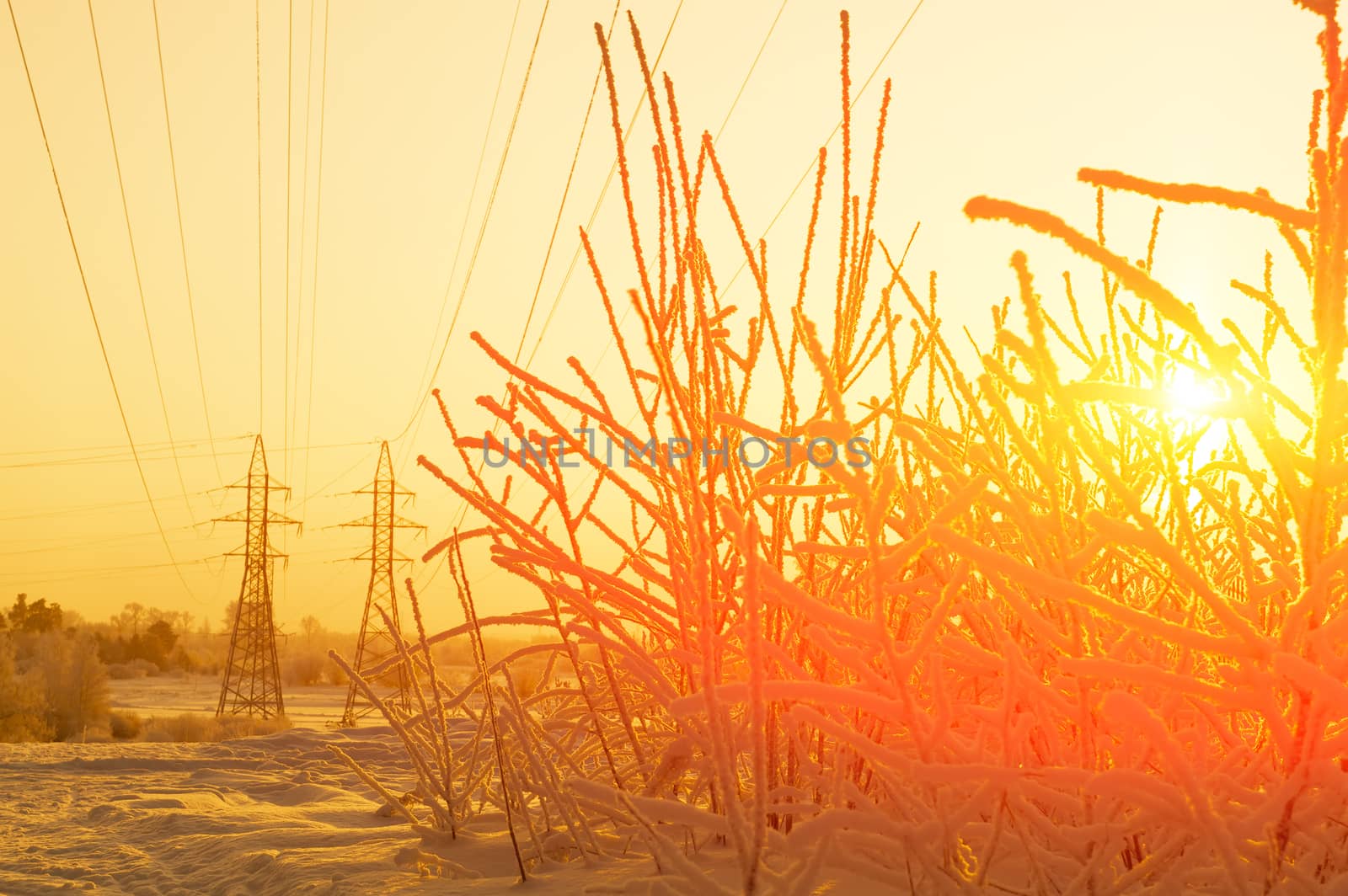Sunset in Siberia. In the background are high-voltage supports. Orange.