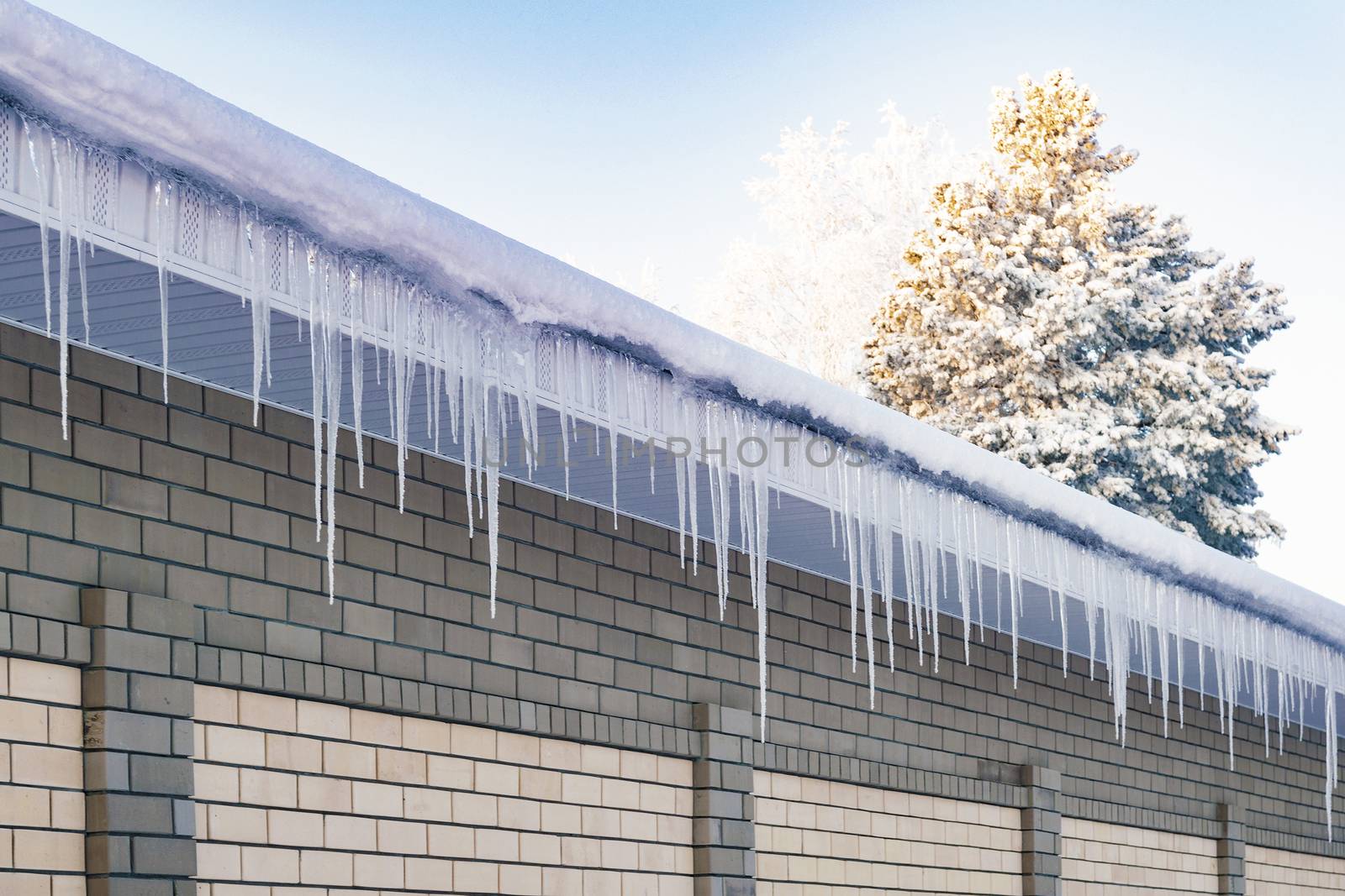 Ice icicles on the roof and the fence. The prospect is outgoing. Siberia.