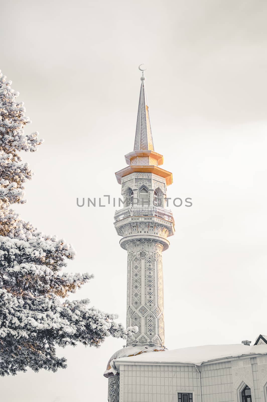 Mosque minaret in background behind Siberian pine on winter. Vertical shot.