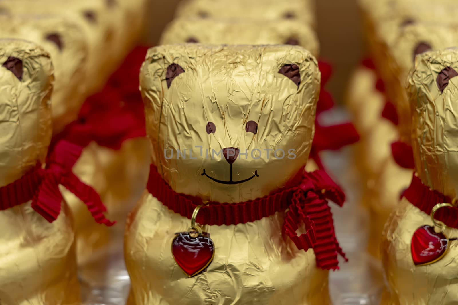 Chocolate teddy bear in a golden wrapper. View from the front
