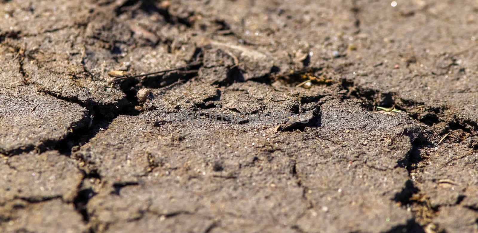 Detailed close up view on agricultural grounds and acre in high  by MP_foto71