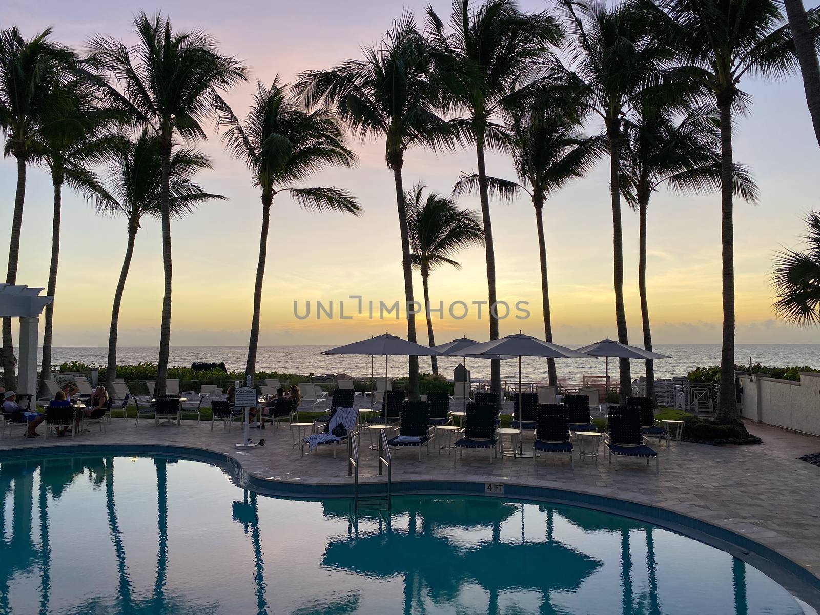 Naples, FL/USA - 10/30/20: Sunset overlooking the Gulf of Mexico with lounge chairs and palm trees at a tropical private beach club in Naples, Florida.