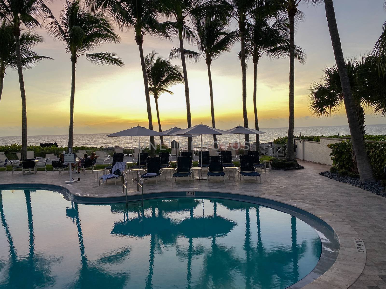 Naples, FL/USA - 10/30/20: Sunset overlooking the Gulf of Mexico with lounge chairs and palm trees at a tropical private beach club in Naples, Florida.