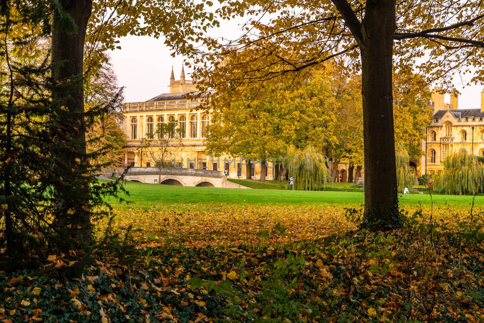 Garden at the back of Trinity College in autumn, Cambridge, UK by mauricallari