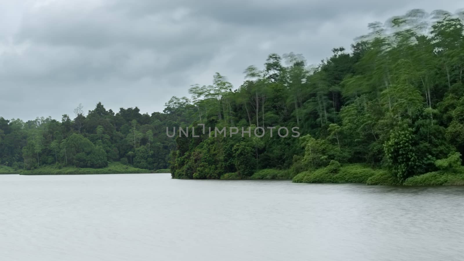 Long exposure photograph of Hiyare reservoir and forest moody atmosphere.