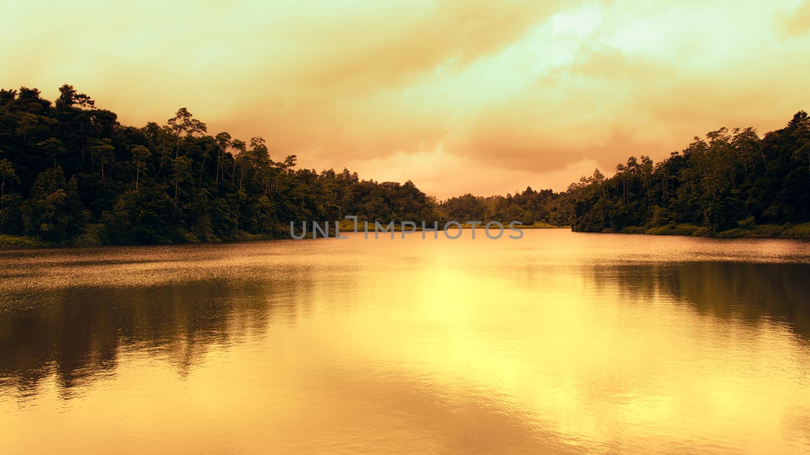 Golden sunset colors in Hiyare reservoir landscape photograph. by nilanka