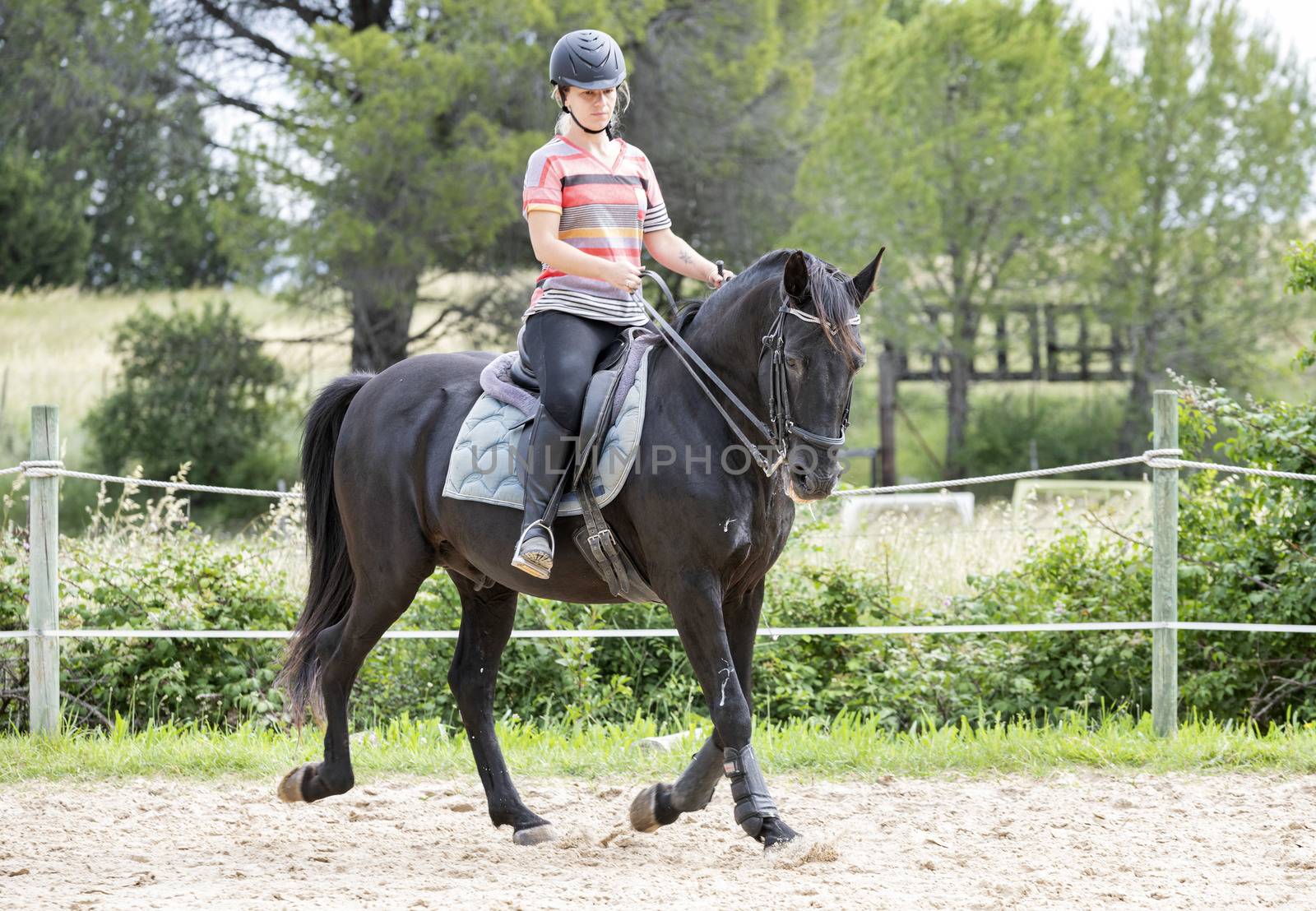  riding girl are training her horse in equestrian center