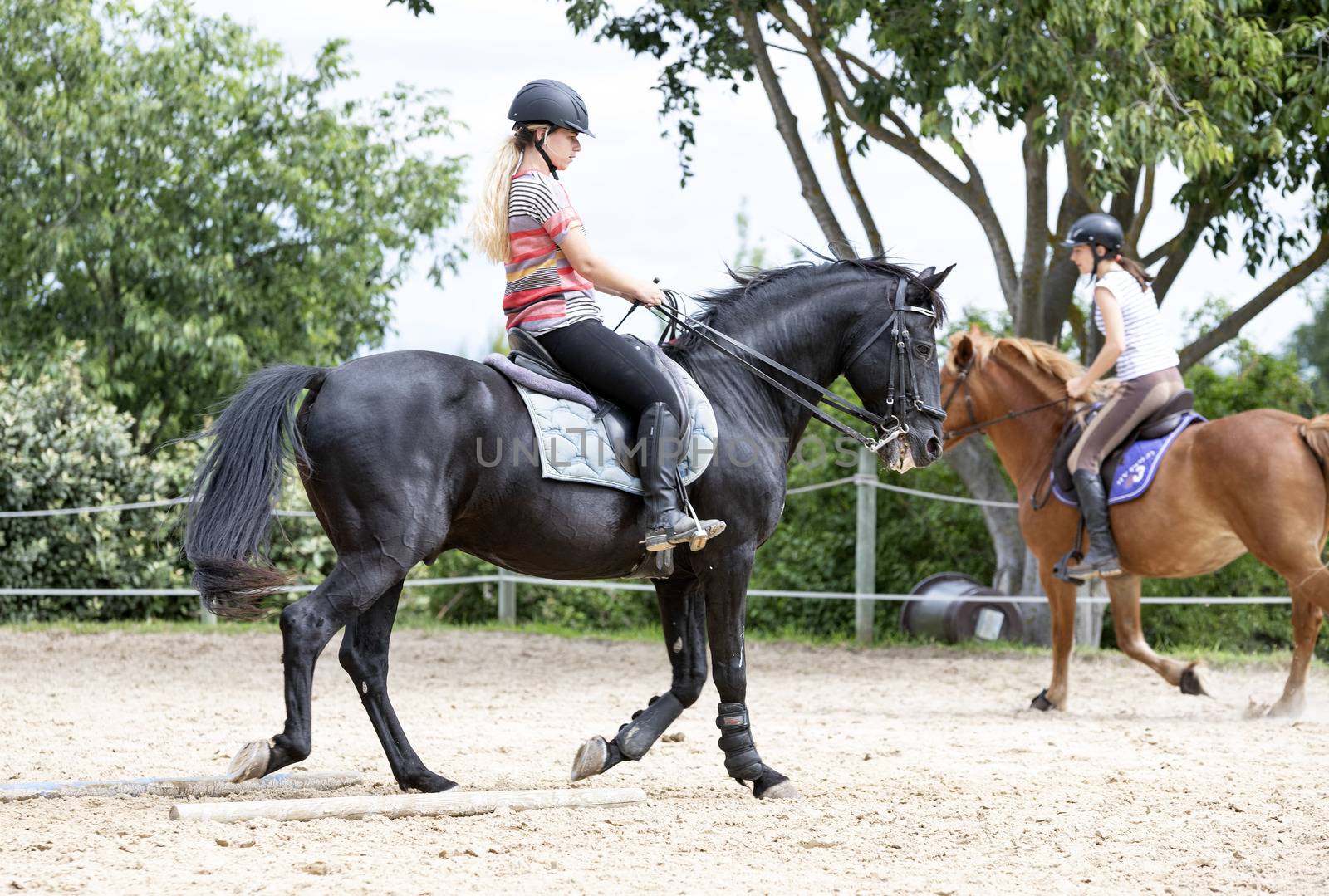  riding girl are training her horse in equestrian center