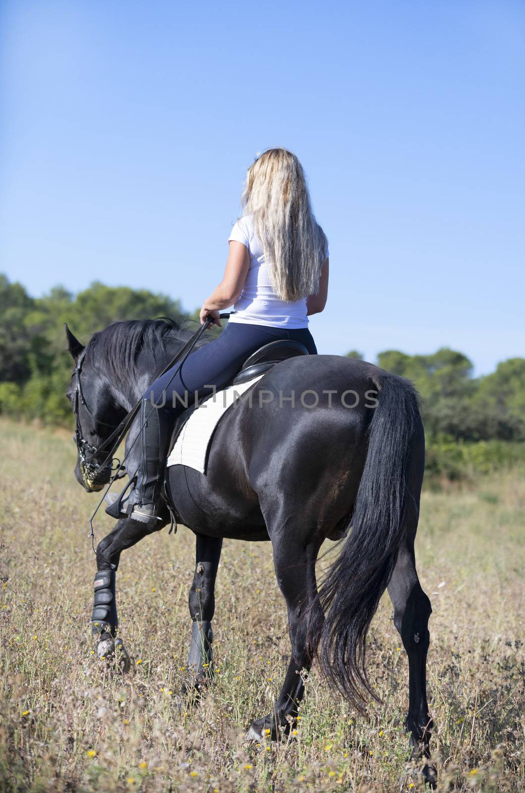  riding girl are training her black horse