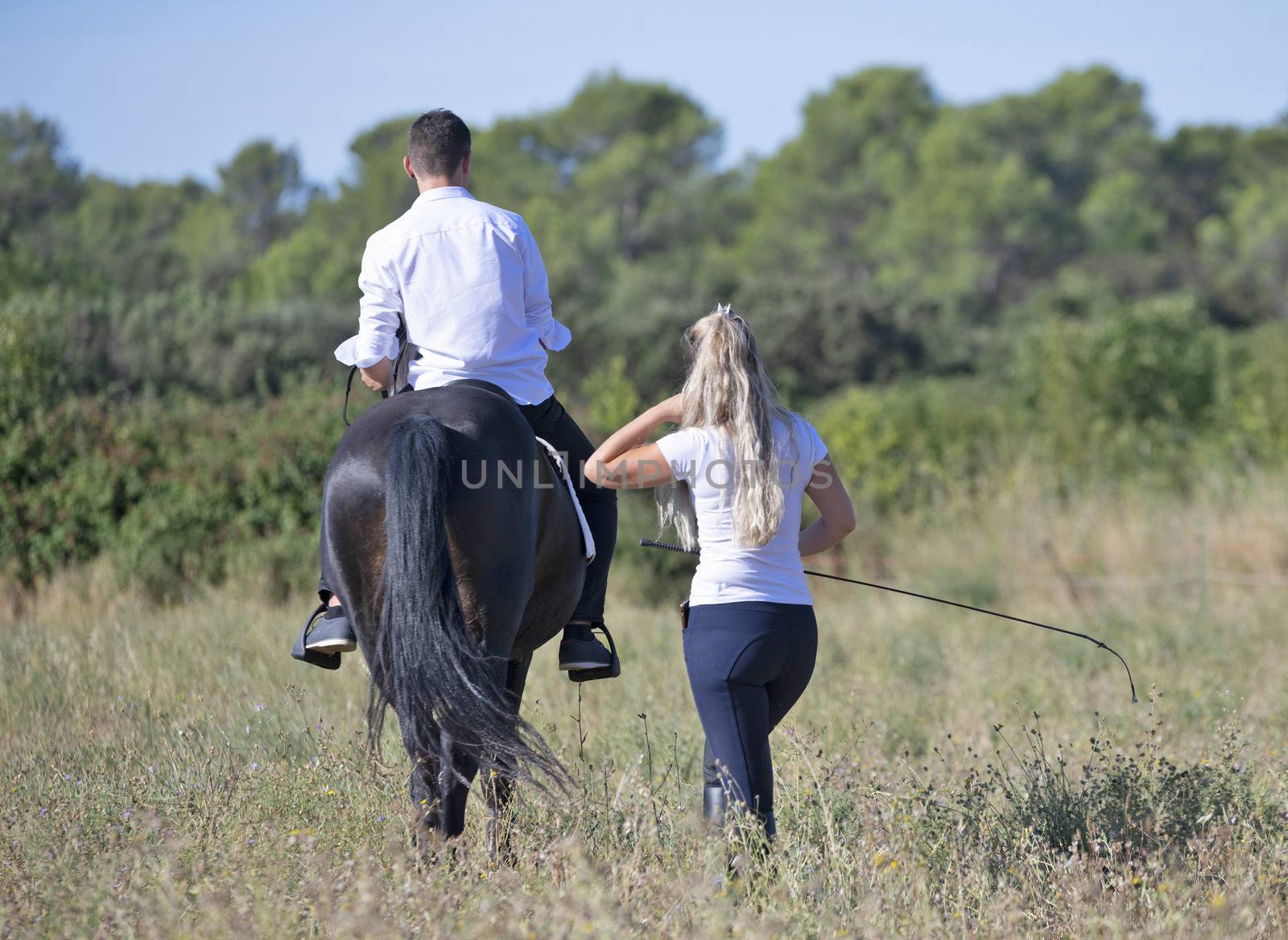 riding teenager and horse by cynoclub