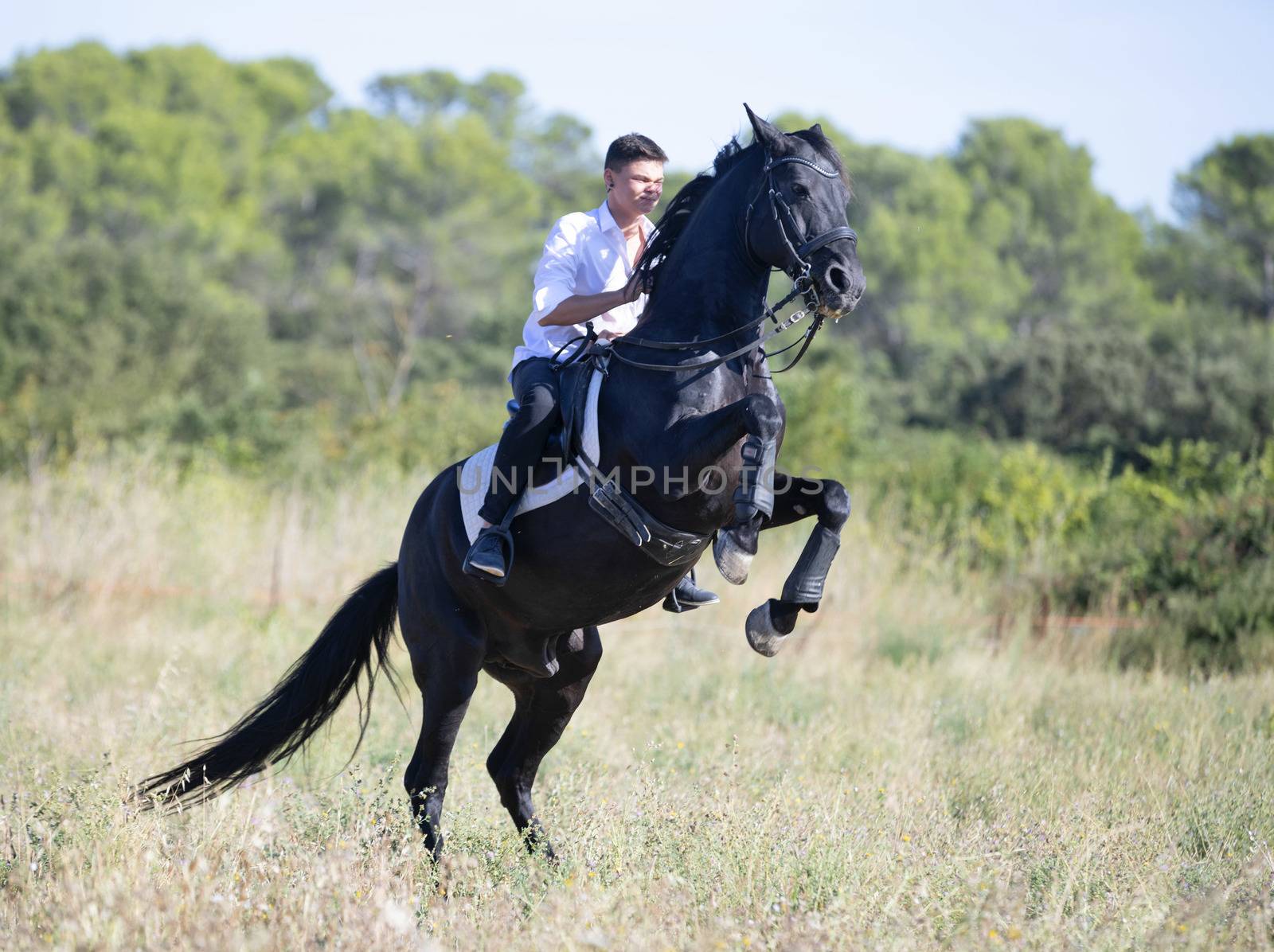  riding teenager are training her black horse