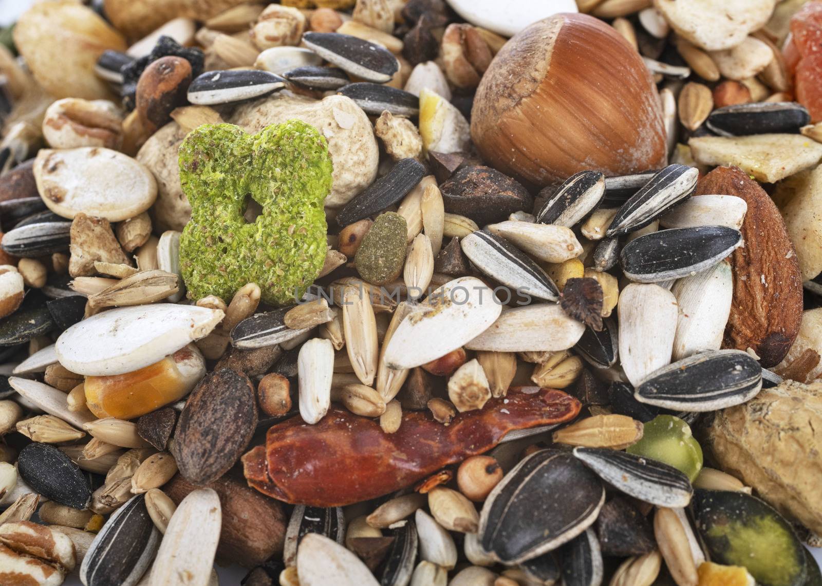 seeds for parrot in front of white background