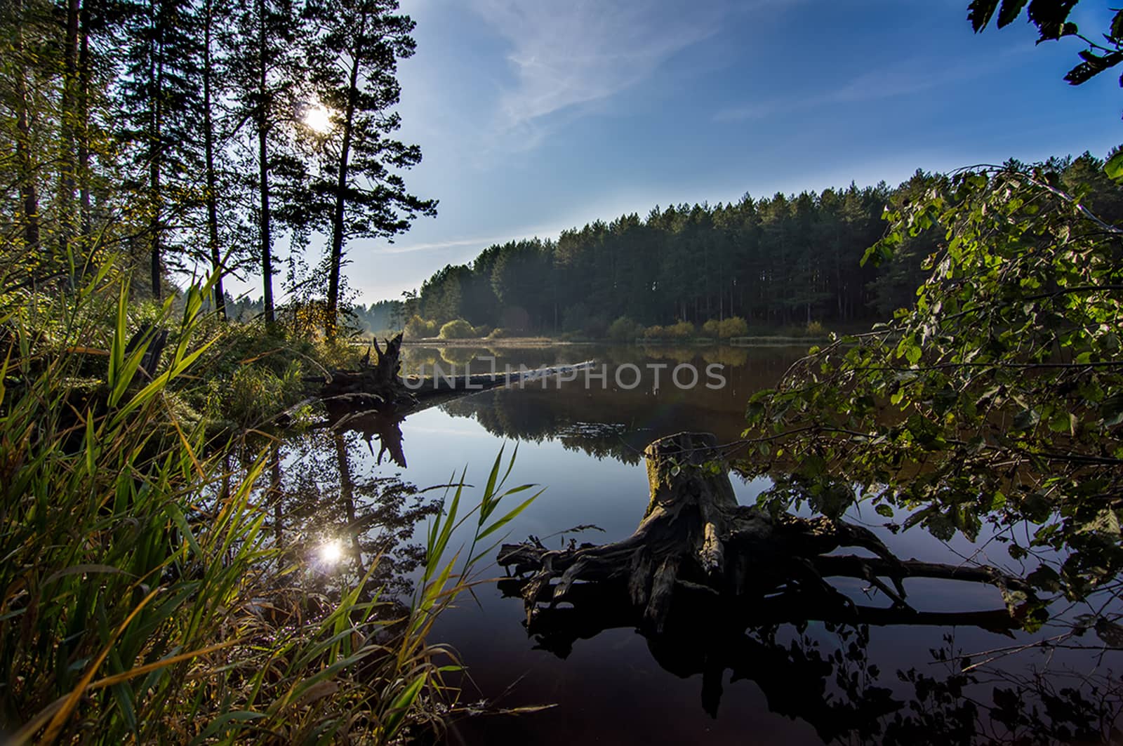 Beautiful blue sky over the lake and coniferous forest.