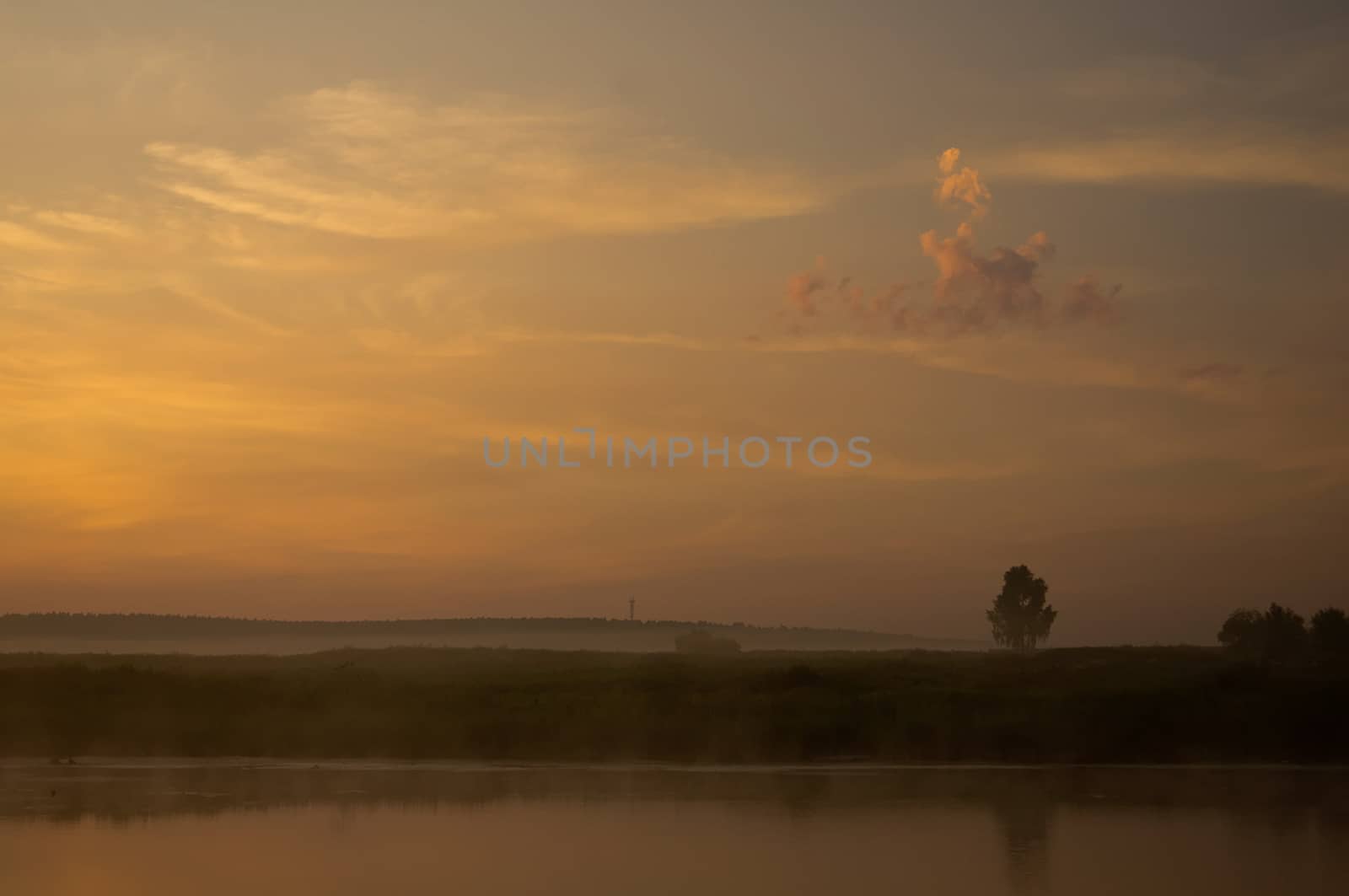 Lake at sunset, coastal grass and trees. The light of the sunset above the water.