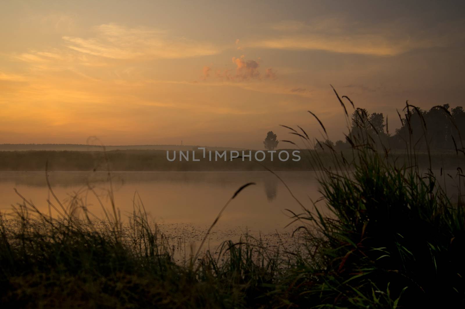 Lake at sunset, coastal grass and trees. The light of the sunset above the water.
