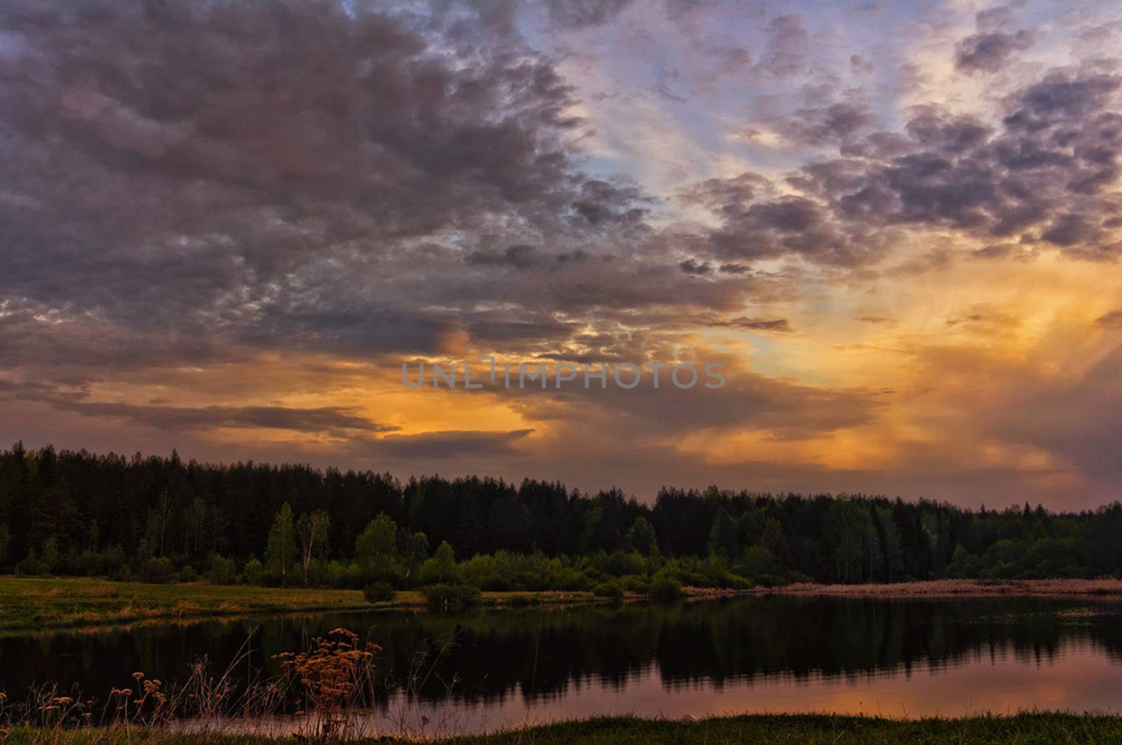 Lake at sunset, coastal grass and trees. The light of the sunset above the water.