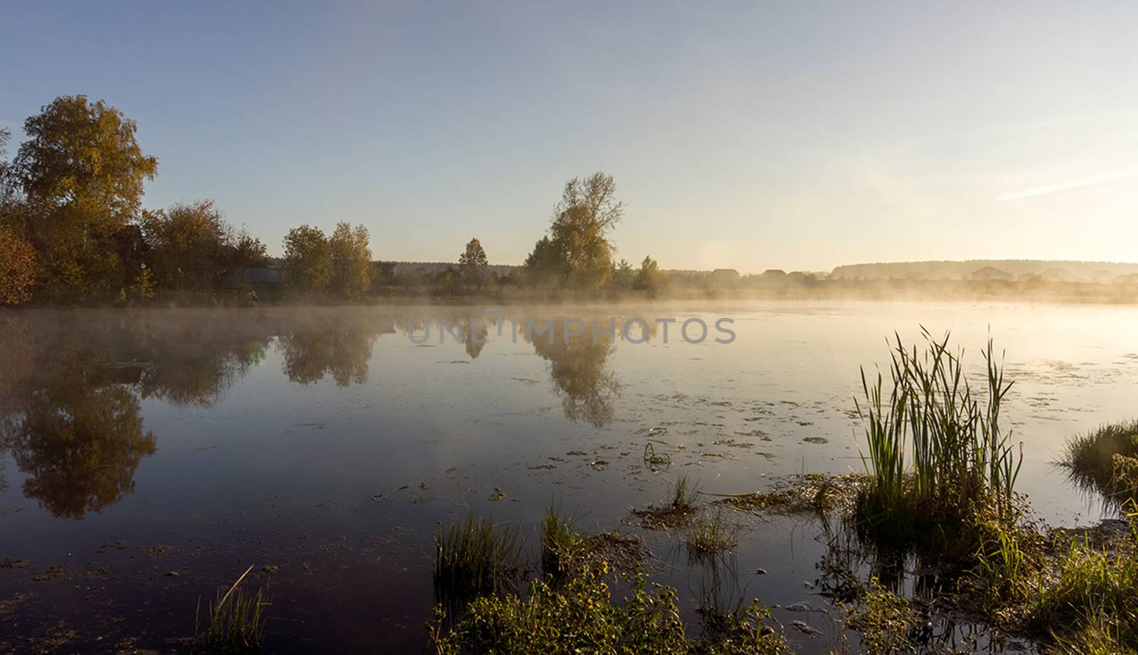 Lake at sunset, coastal grass and trees. The light of the sunset above the water.