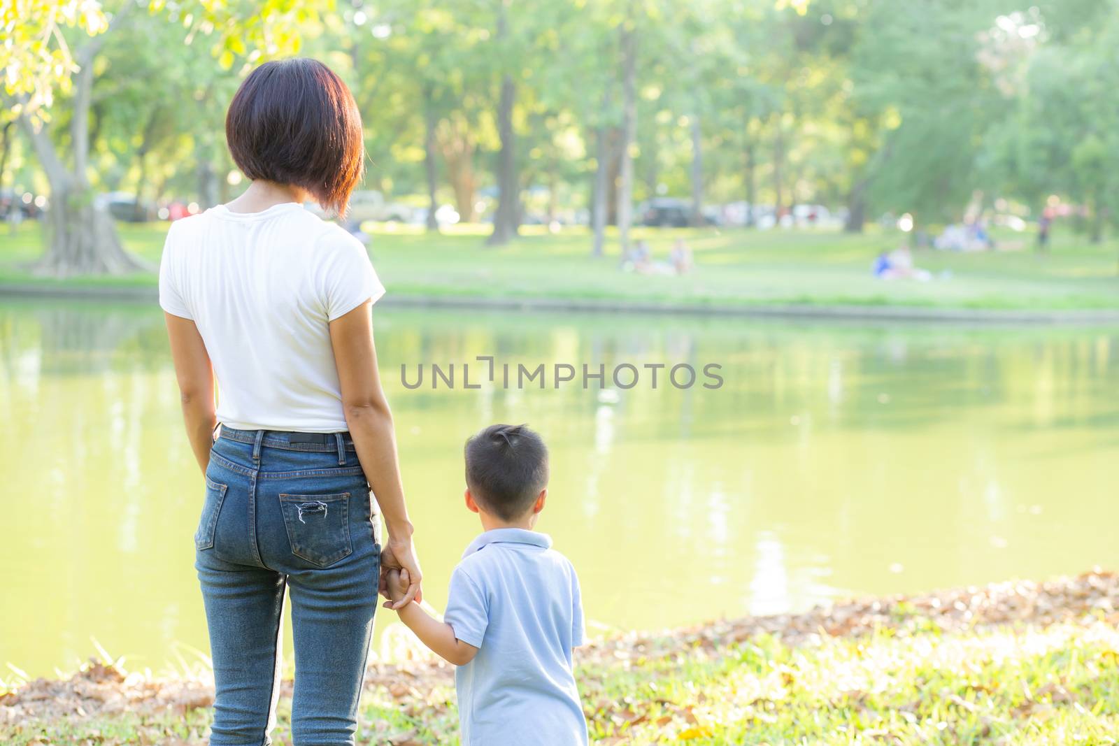 Asian mother or parent and son holding hand with love together in summer outside in the park, mom take care kid holding palm with affection, child have a trust for mother, family concept.