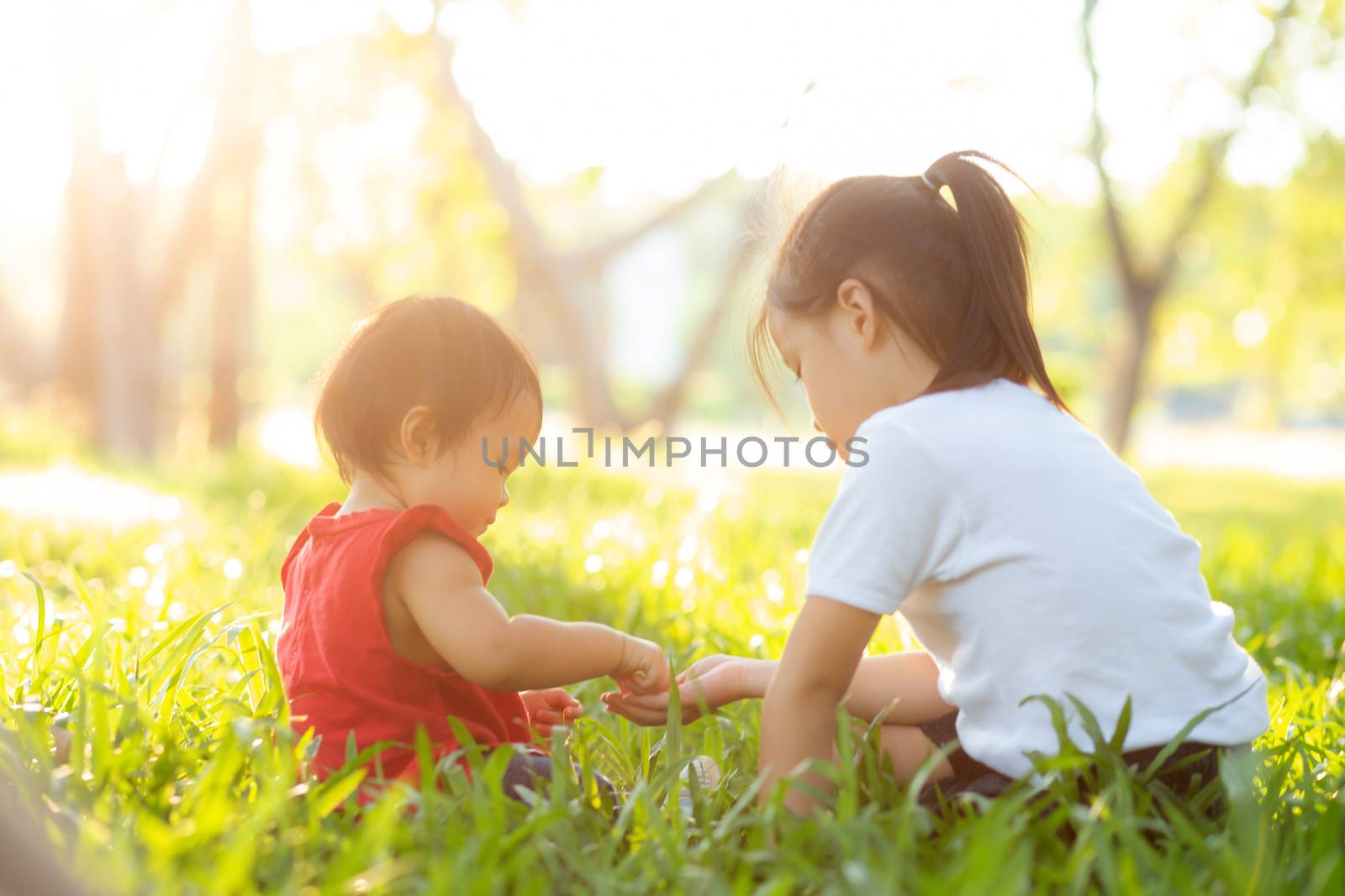 Beautiful young asian kid sitting playing in summer in the park with enjoy and cheerful on green grass, children activity with relax and happiness together on meadow, family and holiday concept.