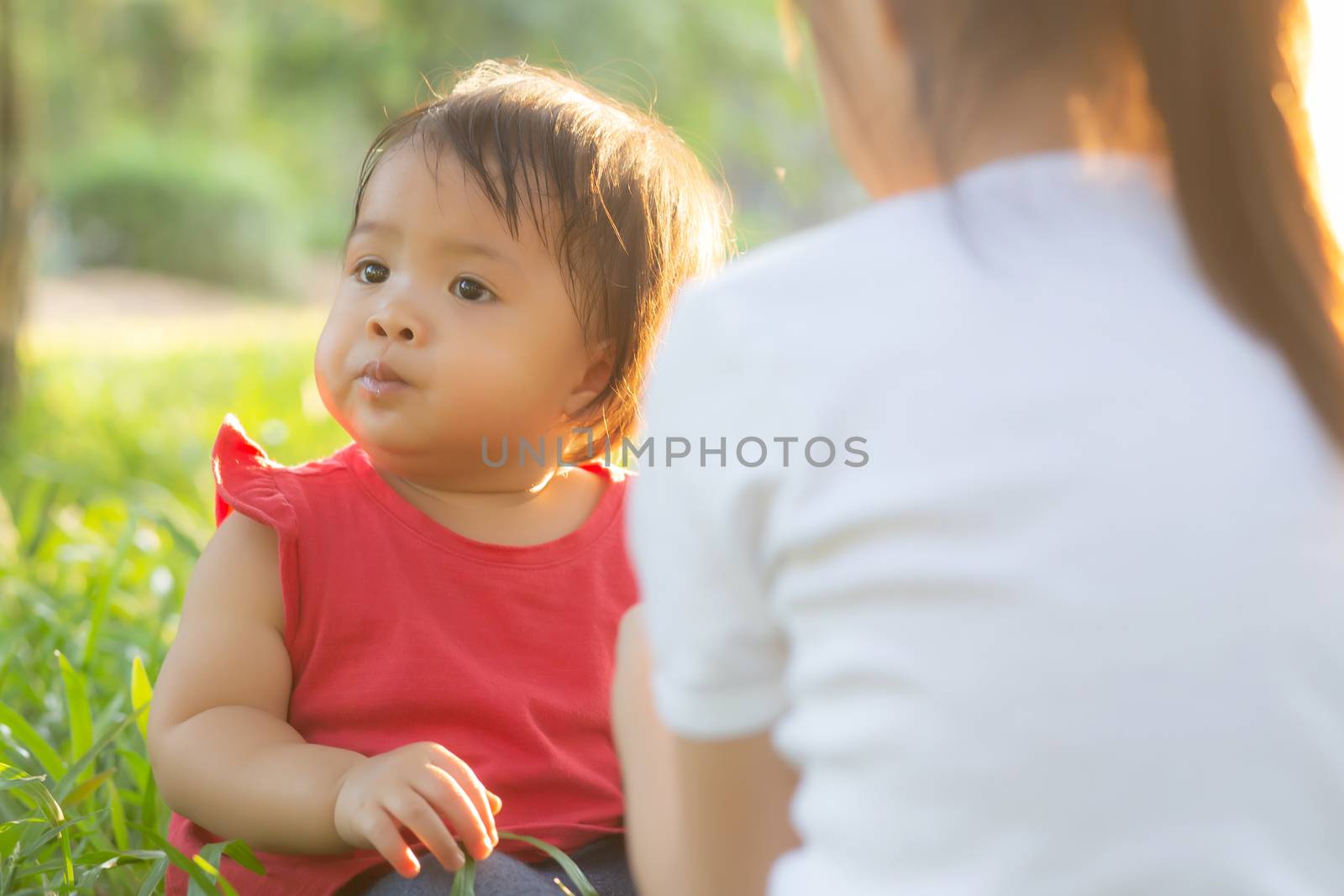Beautiful young asian kid sitting playing in summer in the park with enjoy and cheerful on green grass, children activity with relax and happiness together on meadow, family and holiday concept.